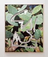 Kate Steciw at Higher Pictures